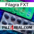 Filagra FXT new04